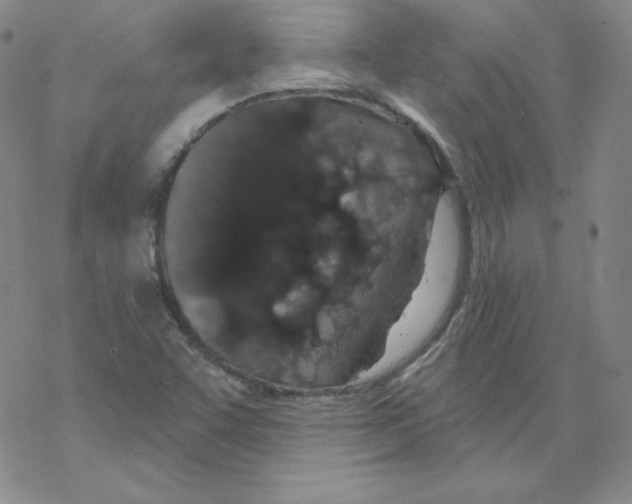 X0000067941455200605112047