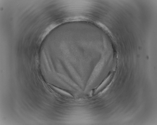 X0000067941457200605112047