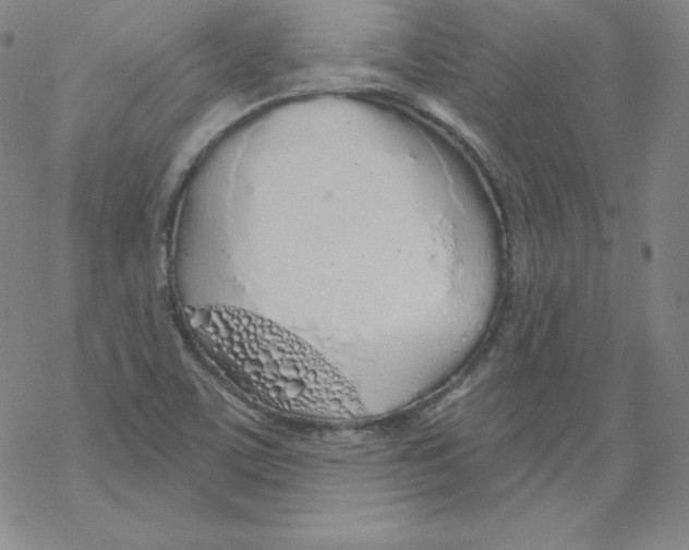 X0000067941459200605112047