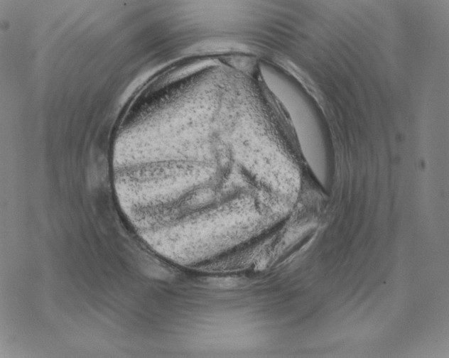 X0000067941465200605112047