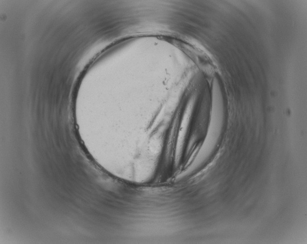 X0000067941469200605112047