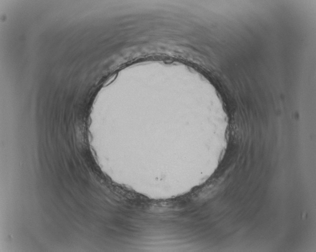 X0000067941490200605112046