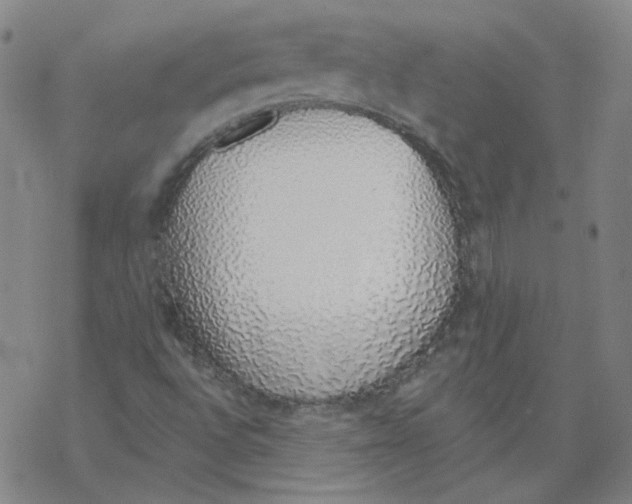 X0000067941496200605112046