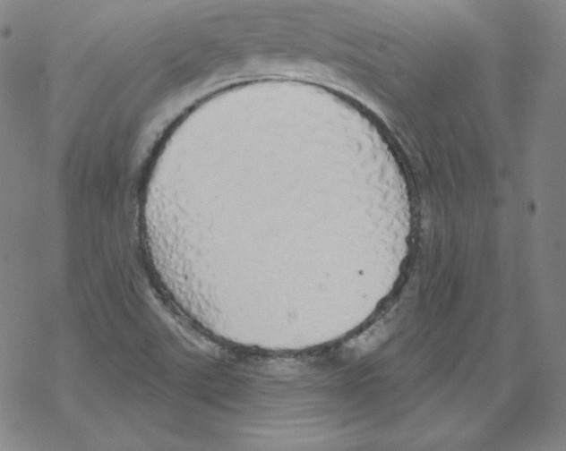 X0000067941507200605112046