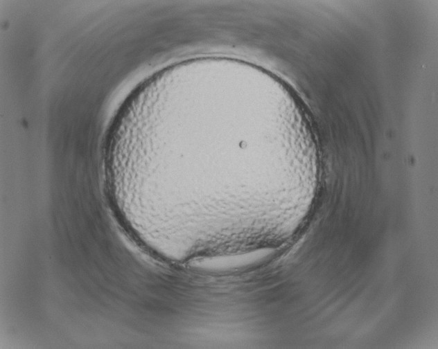 X0000067941511200605112046