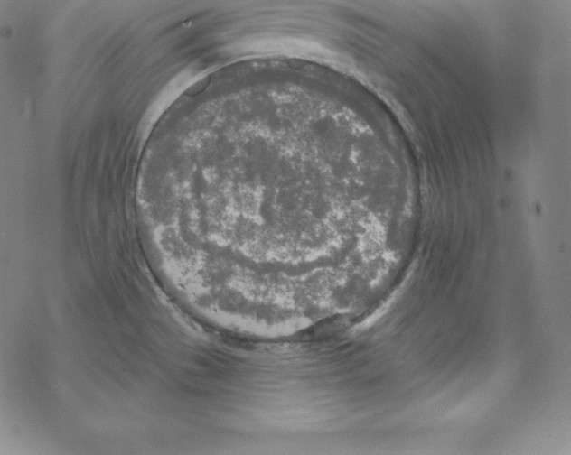 X0000067941529200605112047