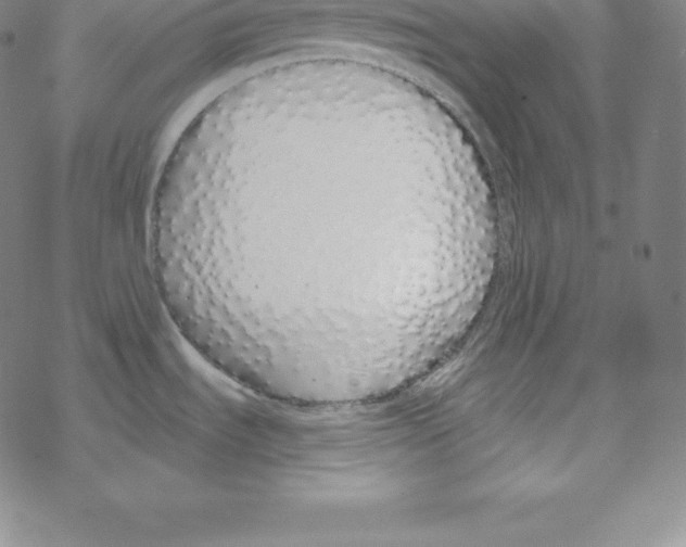 X0000067941535200605112047