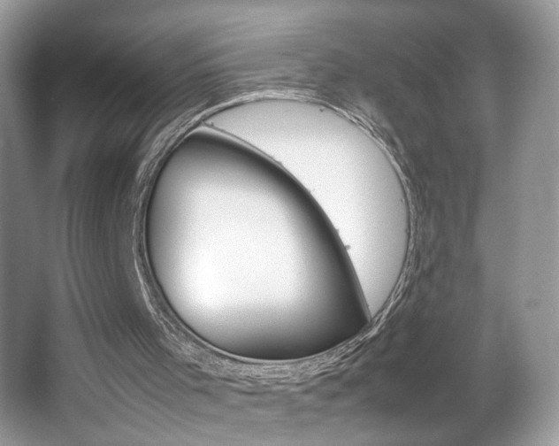 X0000067950001200604131215