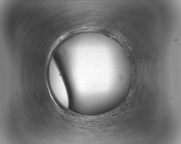 X0000067950003200604131215