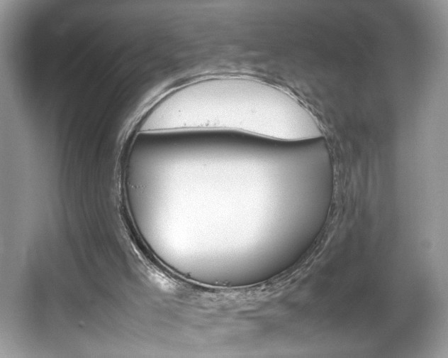 X0000067950005200604131215