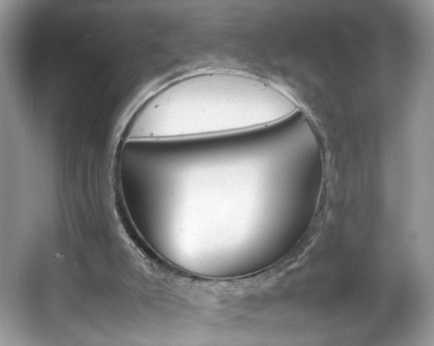 X0000067950007200604131215