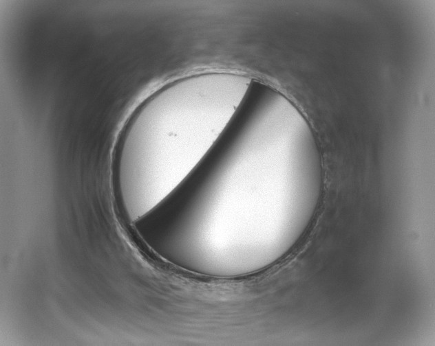 X0000067950008200604131215