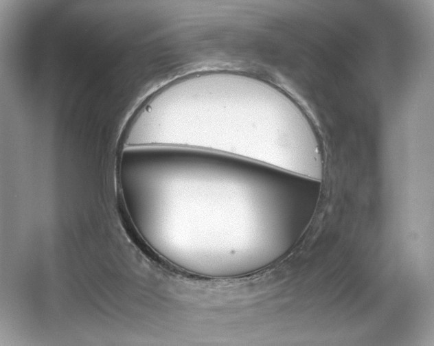 X0000067950011200604131215