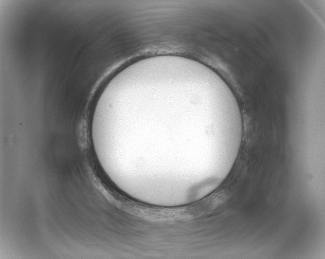 X0000067950012200604131215