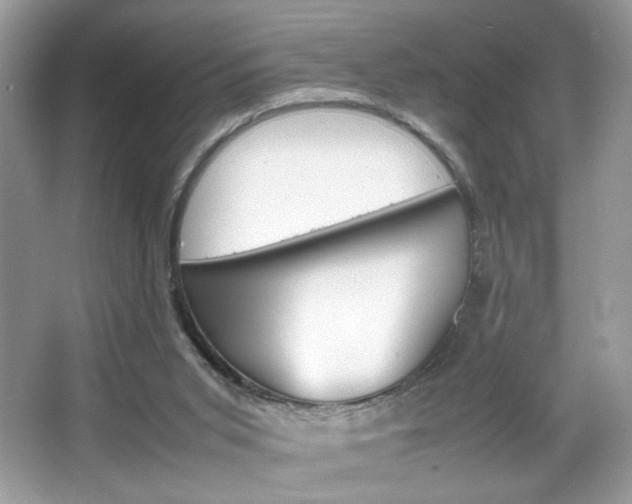 X0000067950015200604131214