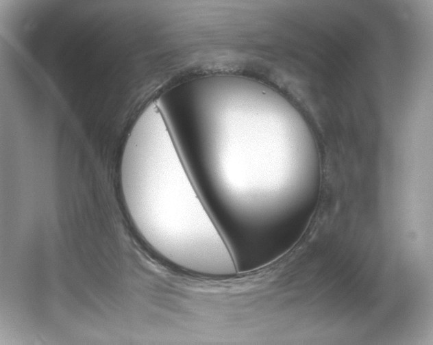 X0000067950017200604131214