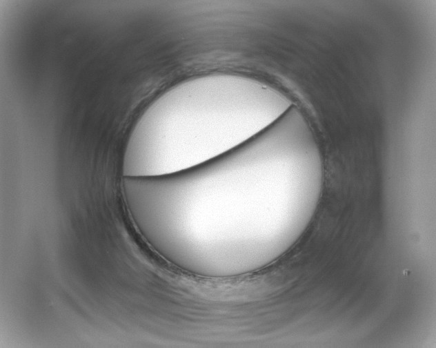 X0000067950018200604131214