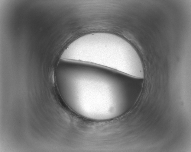X0000067950021200604131214