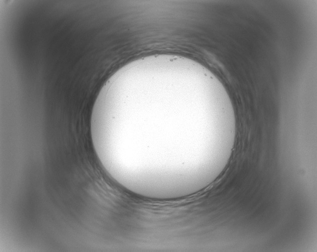X0000067950025200604131214