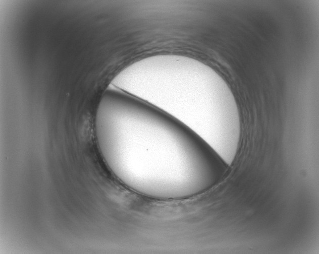 X0000067950029200604131214