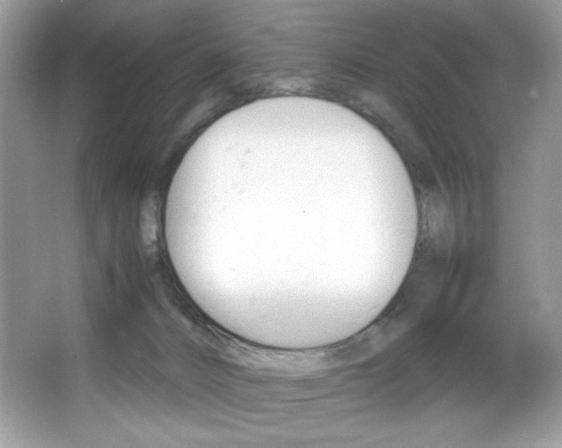 X0000067950032200604131214