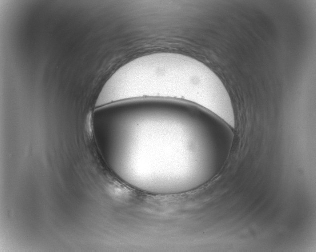 X0000067950041200604131214