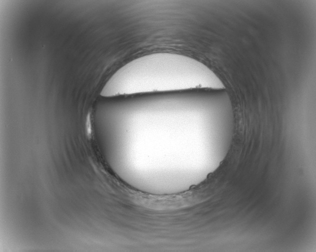 X0000067950042200604131214