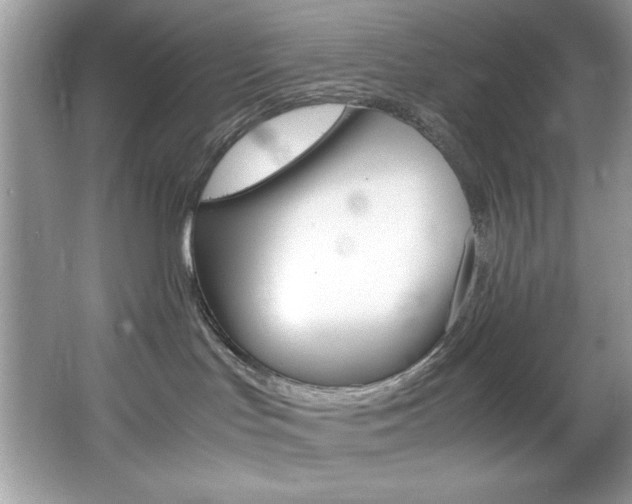 X0000067950047200604131214