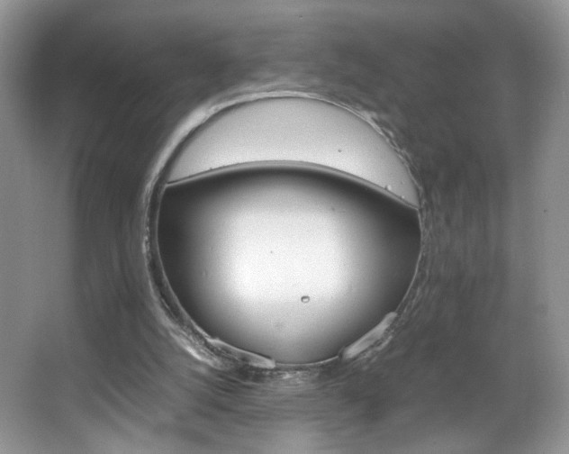 X0000067950056200604131213