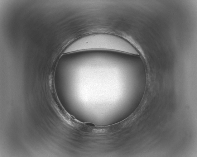 X0000067950057200604131213