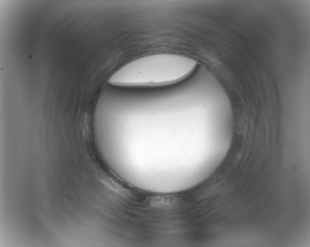 X0000067950077200604131214