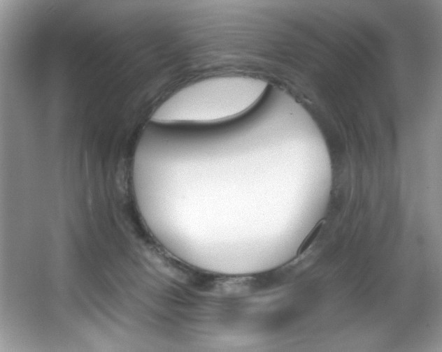 X0000067950078200604131214
