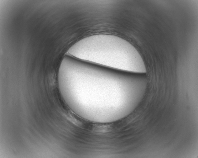 X0000067950081200604131214