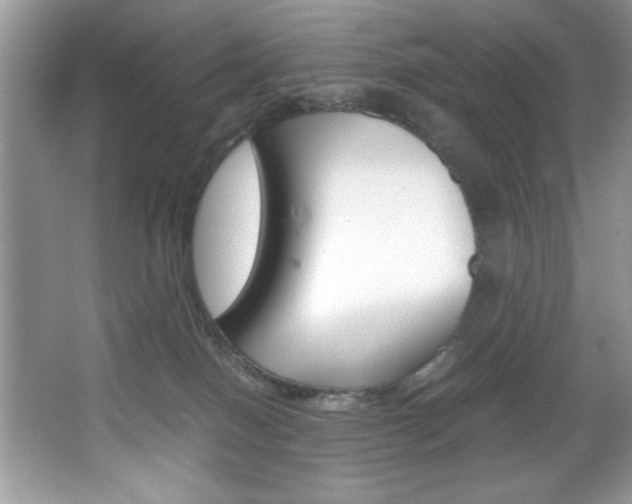 X0000067950086200604131214