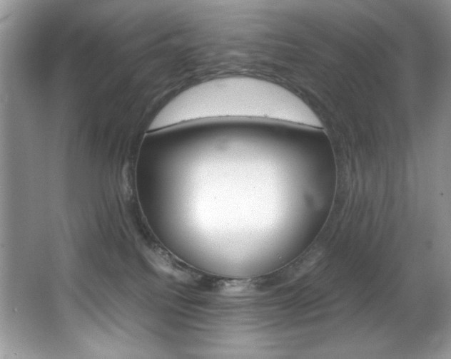 X0000067950088200604131214