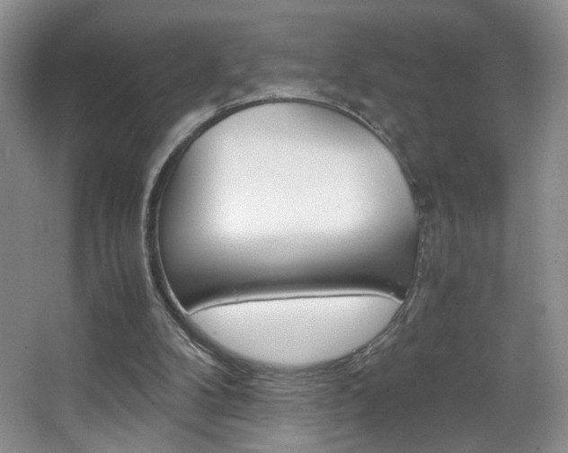 X0000067950104200604131213