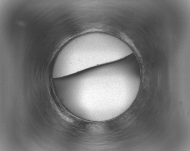 X0000067950106200604131213
