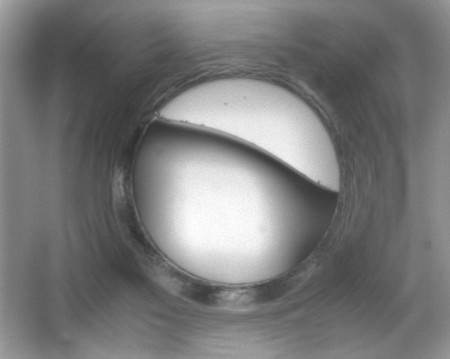 X0000067950117200604131213