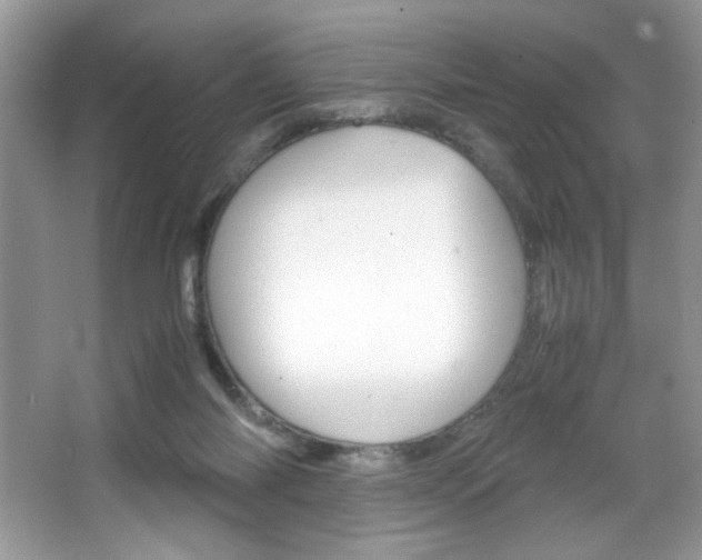 X0000067950118200604131213