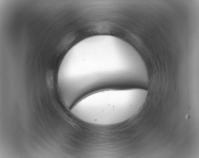 X0000067950120200604131213