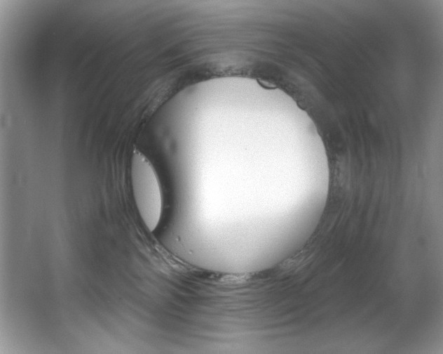 X0000067950138200604131212