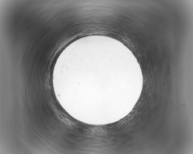 X0000067950146200604131212