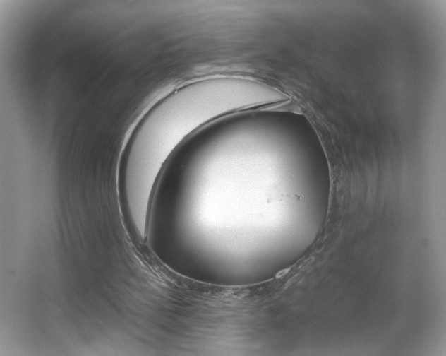X0000067950148200604131212