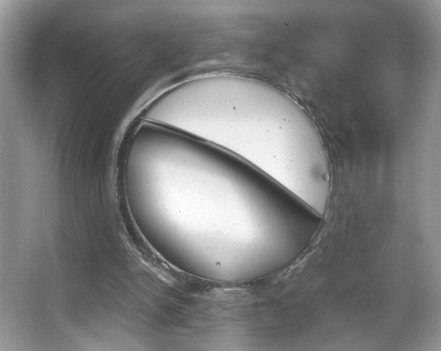 X0000067950150200604131212