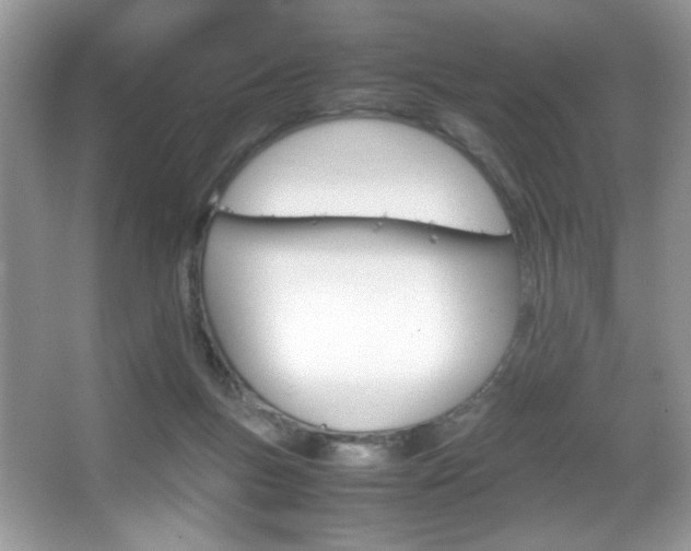 X0000067950167200604131212