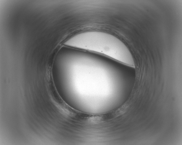 X0000067950168200604131212