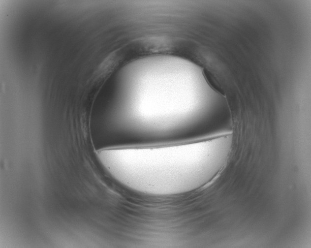 X0000067950170200604131212