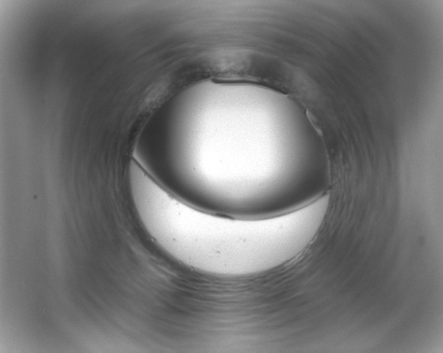 X0000067950176200604131212