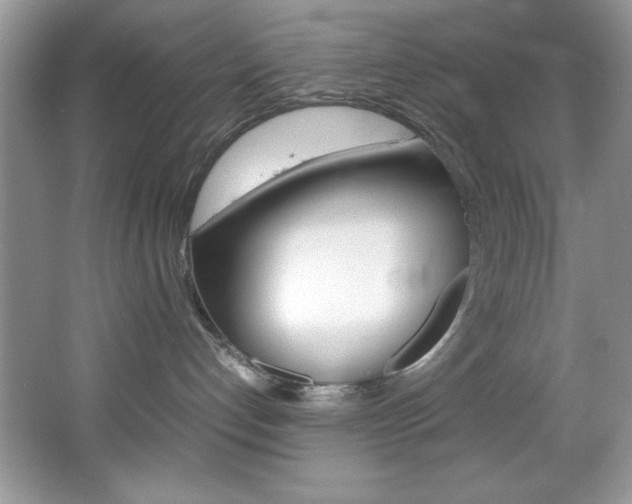 X0000067950192200604131212