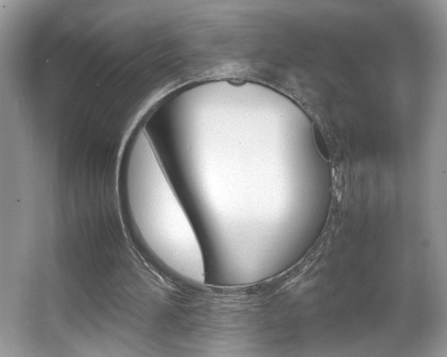 X0000067950196200604131211